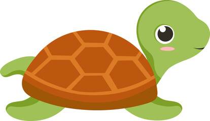 Turtle Illustration