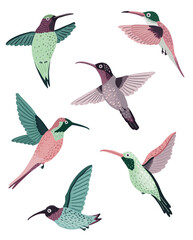 StockImage Hummingbirds Ellen Gozel