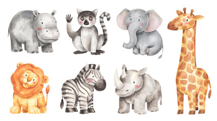 Cute rainforest animals set. Watercolor children illustrations isolated on white background. Hand-drawn tropical animals - lemur, giraffe, rhinoceros, elephant, lion, zebra, hippopotamus © Katerina Koniukhova