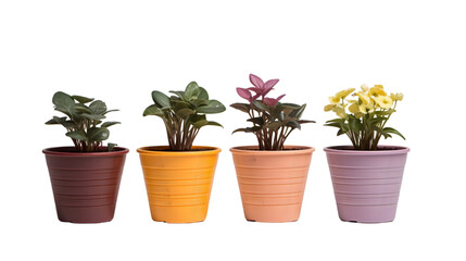 Fototapeta premium A set of flower pots in various colors isolated on transparent background. 