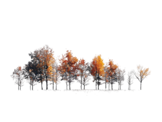 Autumn Trees isolated on transparent background.