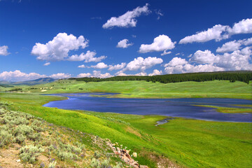 Yellowstone River Landscape Hayden Valley