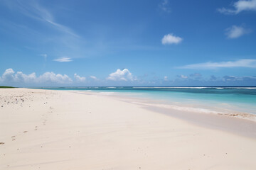Obraz premium Sunny Beach with Blue Sky and Ocean View