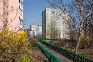 Fototapety na wymiar - Fototapeta24.pl