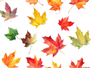 A pattern of colorful watercolor fall leaves isolated on transparent background.