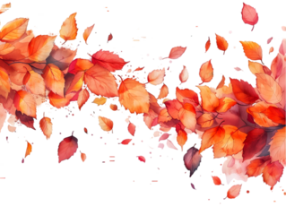 isolated on transparent background.