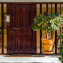 A contemporary design residential building entrance with a dark brown wooden door. Travel to...