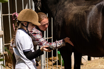 Adult and child examining dark horse at stable.
