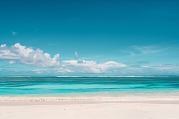 Fototapeta premium Sunlit Beach with Blue Sky and Ocean View