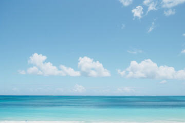 Fototapeta premium Sunlit Beach with Blue Sky and Ocean View