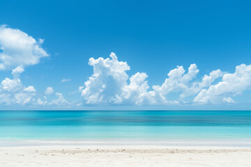 Sunlit Beach with Blue Sky and Ocean View