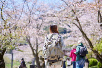 春の桜とインバウンドバックパッカーの女性