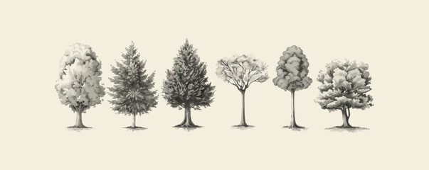 Hand drawn sketch tree species illustration set. Vector isolated vintage backgroun