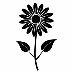 sunflower isolated on white