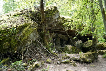 Obraz premium Wilhelm Keitel's bunker at Wolf's Liar - Gierloz, Poland