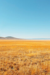Fototapeta premium Flat plains with minimal vegetation and a focus on texture and color gradients 