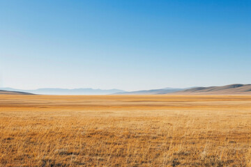 Fototapeta premium Flat plains with minimal vegetation and a focus on texture and color gradients 