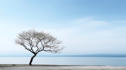 Lonely tree on the beach, minimal style
