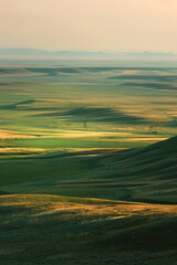 Flat plains with minimal vegetation and a focus on texture and color gradients 