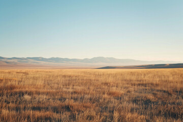 Flat plains with minimal vegetation and a focus on texture and color gradients 