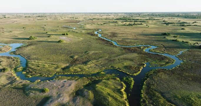 Aerial panning view.  Beautiful scenic curving patterned waterways and lagoons of the Okavango Delta. Red Lechwe in the distance