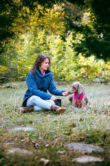 Fototapeta premium A young woman in a blue jacket sitting next to a Weimaraner dog in a grassy clearing in a forest giving him some treats. Forest and rural setting with a girl and a Weimaraner Braco dog taking treats