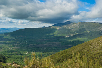 landscape, view, nature, spring, green, spain, flora, plants, be