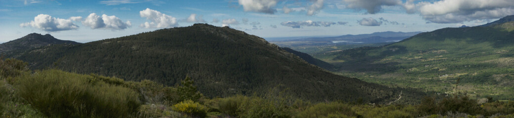 landscape, view, nature, spring, green, spain, flora, plants, be