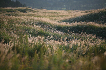 熊本の阿蘇で出会った秋のトワイライトの風景