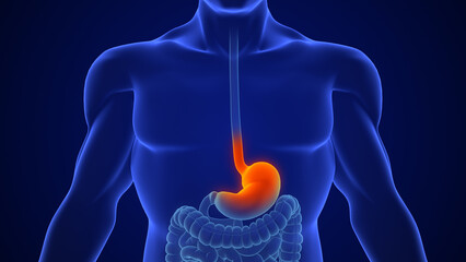Antacid Treatment for Acid Reflux Stomach Gastroenterology