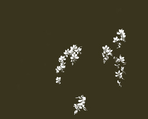 Closeup black and white illustrative representation of the flowers of the garden plant Gaura lindheimeri Whirling Butterflies, seen against a dark background.