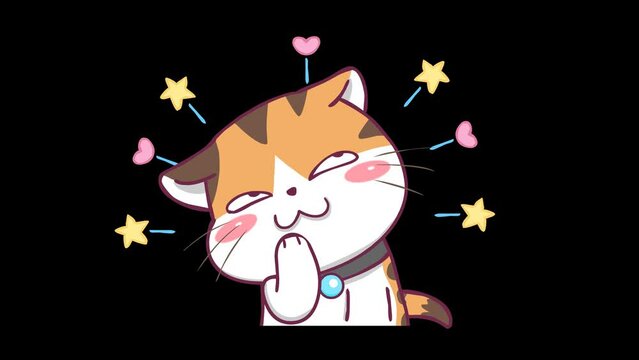 Sneaky Laughing Animated Cat with White Background