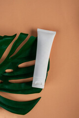Cosmetic product in tube, bottle, lotion or serum on cream background and tropical monstera leaves. 