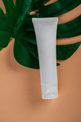 Cosmetic product in tube, bottle, lotion or serum on cream background and tropical monstera leaves. 