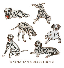 Dalmatian Dog Color Illustrations in Various Poses 2