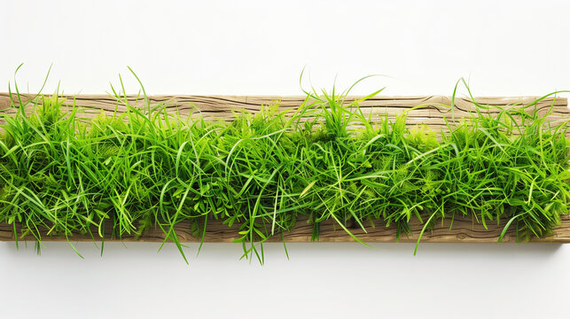 grass board on a white background. no shadow. pure white background color.