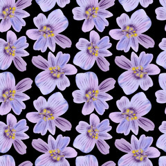 Seamless pattern of hand drawn delicate watercolor flowers floral lilac plants. Herb flower. Drawing summer Botanical greenery illustration on black background. For fabric, wallpaper, wrapping decor