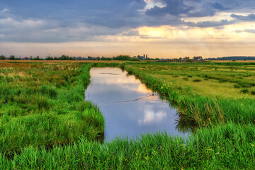 Fototapeta premium Dutch meadow panoramic landscape with traditional water canals. Pastures of green juicy grass.