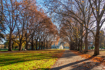 Beautiful autumn trees in soft sunlight adorn Carlton Gardens, water fountains and the historic...