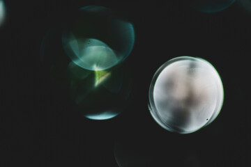 Bokeh in photography is the quality of the entire area that is out of focus. Thus, Bokeh is the opposite of sharpness: sharpness occurs at the best focus point,