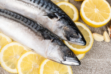 Uncooked mackerel sea fish with lemons and garlic, culinary recipe