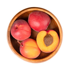 Fresh apricots in a wooden bowl. Stone fruits of Prunus armeniaca, similar to a small peach. Yellow fruits, tinged red on the side most exposed to sun, with a smooth surface, and sweet to tart taste.