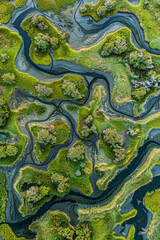 Aerial view of intricate water patterns and vegetation in wetlands, creating an abstract, minimalist composition. 