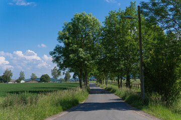 Green grass field on small hills and blue sky with clouds