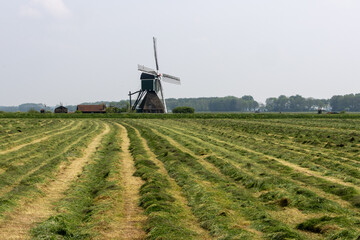 dutch windmill in a field