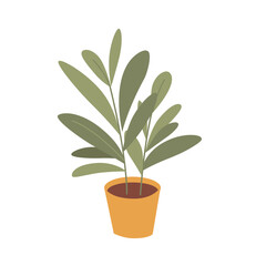 House plant in pot isolated vector illustration. Indoor flowerpot in home. Flower in ceramic container. Room interior decor. Green office concept