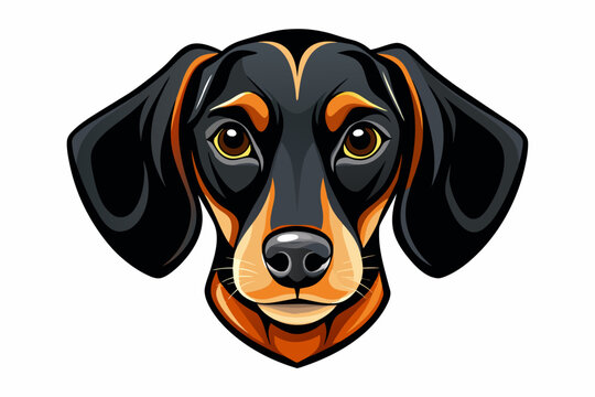 Dachsbracke Images – Browse 487 Stock Photos, Vectors, and Video