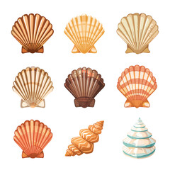 Set vector illustration of colorful different shells from the bottom of the ocean