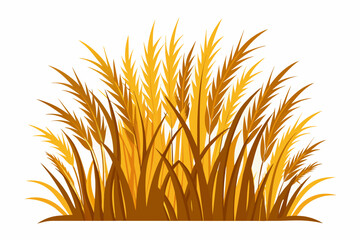 dry grass different style vector artwork illustration