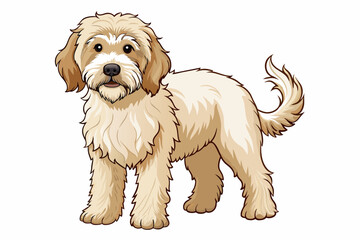 A Australian labra animal vector artwork illustration 